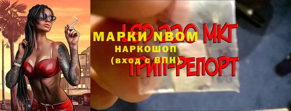 дмт Алексин