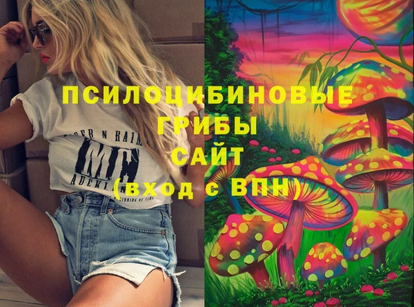 дмт Алексин